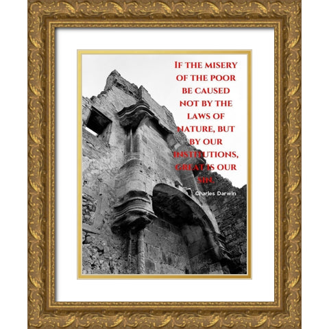 Charles Darwin Quote: Misery of the Poor Gold Ornate Wood Framed Art Print with Double Matting by ArtsyQuotes