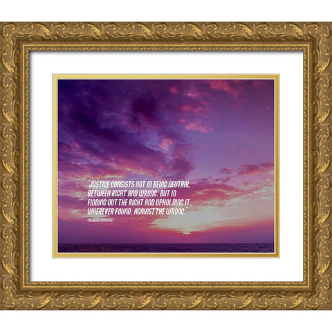 Theodore Roosevelt Quote: Justice Gold Ornate Wood Framed Art Print with Double Matting by ArtsyQuotes