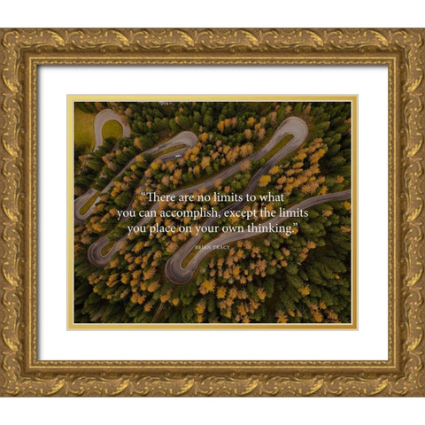 Brian Tracy Quote: No Limits Gold Ornate Wood Framed Art Print with Double Matting by ArtsyQuotes