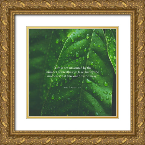 Maya Angelou Quote: Take Our Breathe Away Gold Ornate Wood Framed Art Print with Double Matting by ArtsyQuotes