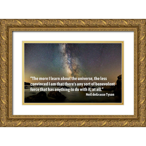 Neil deGrasse Tyson Quote: The More I Learn Gold Ornate Wood Framed Art Print with Double Matting by ArtsyQuotes