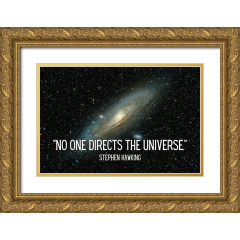 Stephen Hawking Quote: The Universe Gold Ornate Wood Framed Art Print with Double Matting by ArtsyQuotes