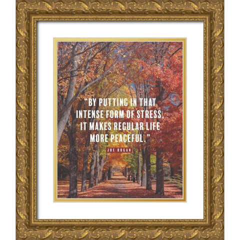 Joe Rogan Quote: Regular Life Gold Ornate Wood Framed Art Print with Double Matting by ArtsyQuotes