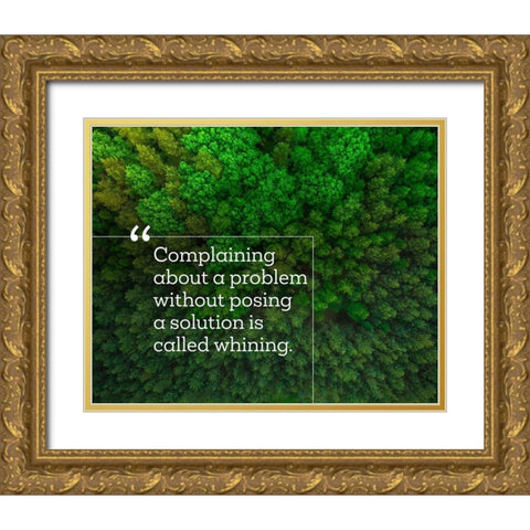 Teddy Roosevelt Quote: Posing a Solution Gold Ornate Wood Framed Art Print with Double Matting by ArtsyQuotes