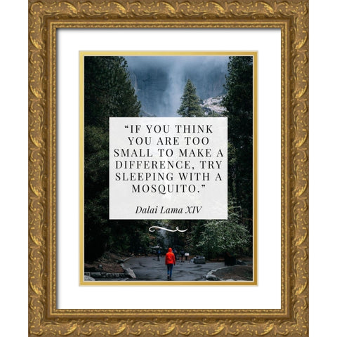 Dalai Lama Quote: Make a Difference Gold Ornate Wood Framed Art Print with Double Matting by ArtsyQuotes
