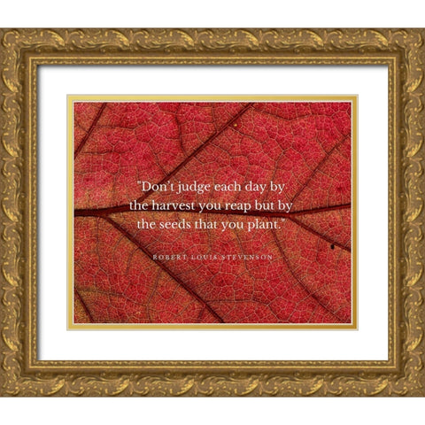 Robert Louis Stevenson Quote: Dont Judge Each Day Gold Ornate Wood Framed Art Print with Double Matting by ArtsyQuotes