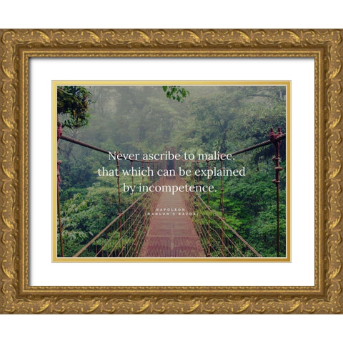 Napoleon Quote: Ascribe to Malice Gold Ornate Wood Framed Art Print with Double Matting by ArtsyQuotes