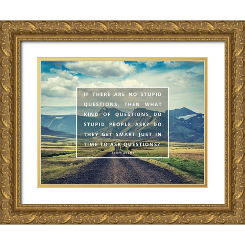 Scott Adams Quote: No Stupid Questions Gold Ornate Wood Framed Art Print with Double Matting by ArtsyQuotes