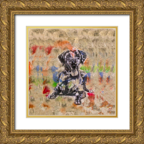 Colorful Dog IV Square Gold Ornate Wood Framed Art Print with Double Matting by Wiley, Marta