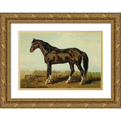 Dongola Horse, 1900 Gold Ornate Wood Framed Art Print with Double Matting by Sidney, Samuel