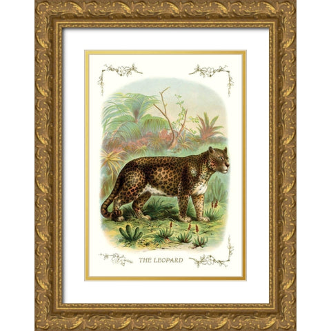 The Leopard, 1900 Gold Ornate Wood Framed Art Print with Double Matting by Unknown