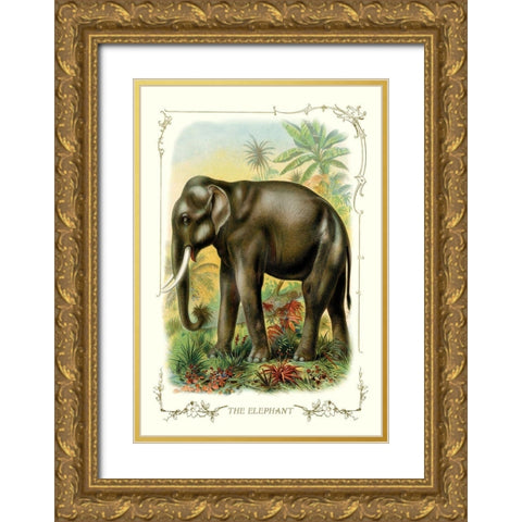 The Elephant, 1900 Gold Ornate Wood Framed Art Print with Double Matting by Unknown