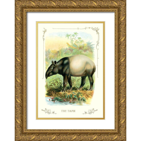 The Tapir, 1900 Gold Ornate Wood Framed Art Print with Double Matting by Unknown