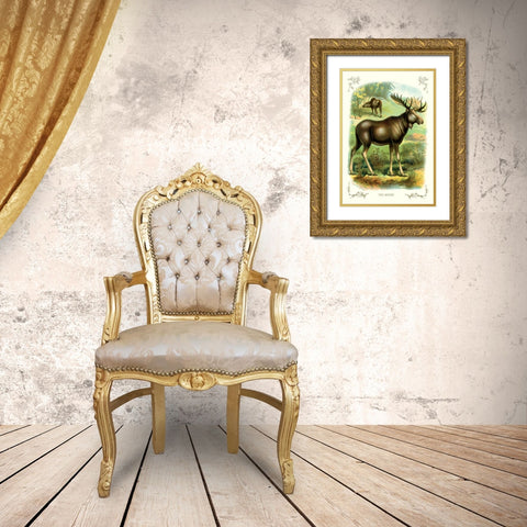 The Moose, 1900 Gold Ornate Wood Framed Art Print with Double Matting by Unknown