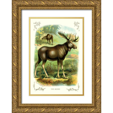 The Moose, 1900 Gold Ornate Wood Framed Art Print with Double Matting by Unknown