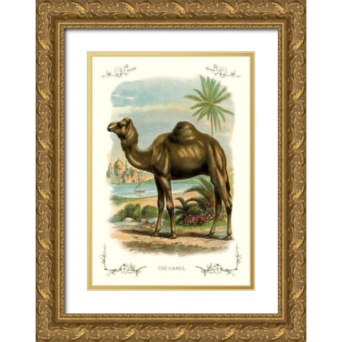 The Camel, 1900 Gold Ornate Wood Framed Art Print with Double Matting by Unknown