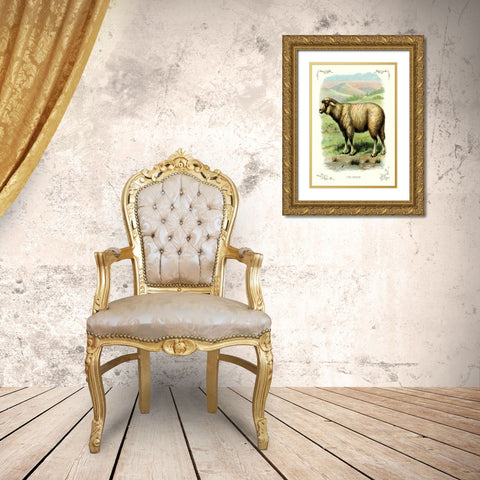 The Sheep, 1900 Gold Ornate Wood Framed Art Print with Double Matting by Unknown