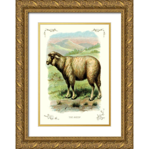 The Sheep, 1900 Gold Ornate Wood Framed Art Print with Double Matting by Unknown