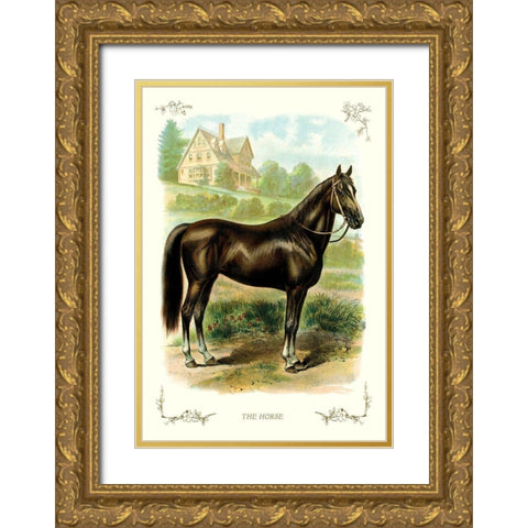 The Horse, 1900 Gold Ornate Wood Framed Art Print with Double Matting by Unknown