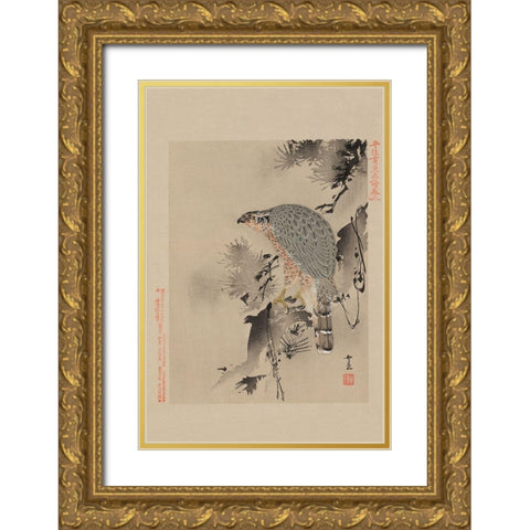 Hawk Gold Ornate Wood Framed Art Print with Double Matting by Unknown