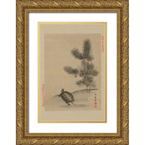 Turtle Gold Ornate Wood Framed Art Print with Double Matting by Unknown