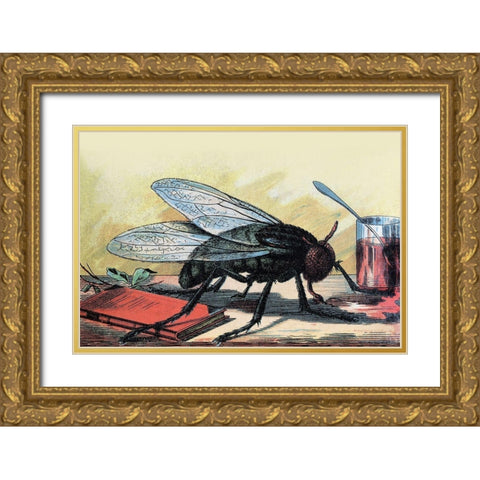 Fly Gold Ornate Wood Framed Art Print with Double Matting by Unknown