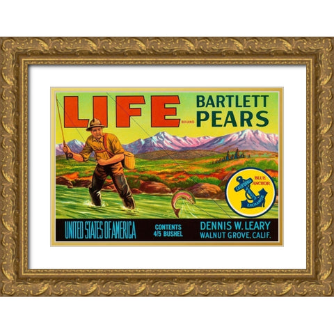 Life Brand Bartlett Pears Gold Ornate Wood Framed Art Print with Double Matting by Retrolabel