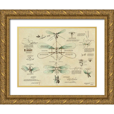 Airborne Bicycle Gold Ornate Wood Framed Art Print with Double Matting by Inventions