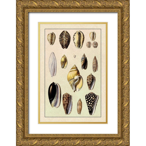 Shells: Convoltae and Orthocerata Gold Ornate Wood Framed Art Print with Double Matting by Sowerby, G.B.
