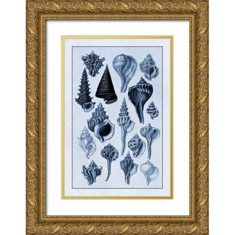 Shells: Trachelipoda #4 (Blue) Gold Ornate Wood Framed Art Print with Double Matting by Sowerby, G.B.