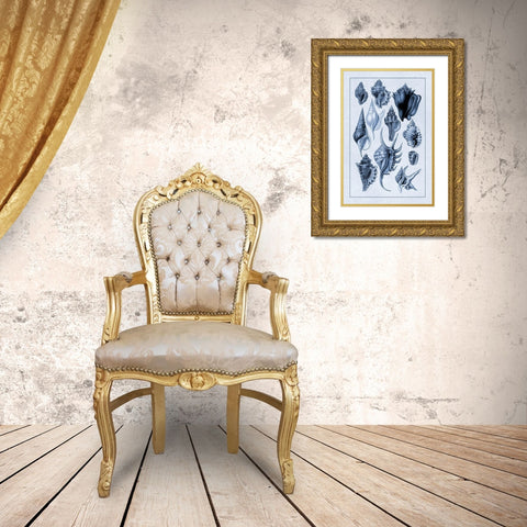 Shells: Trachelipoda #5 (Blue) Gold Ornate Wood Framed Art Print with Double Matting by Sowerby, G.B.