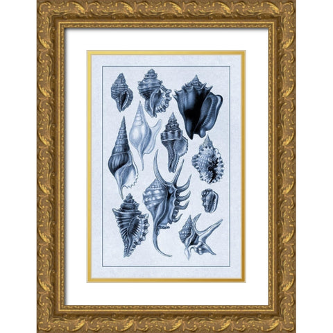 Shells: Trachelipoda #5 (Blue) Gold Ornate Wood Framed Art Print with Double Matting by Sowerby, G.B.
