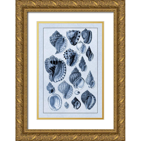 Shells: Purpurifera (Blue) Gold Ornate Wood Framed Art Print with Double Matting by Sowerby, G.B.
