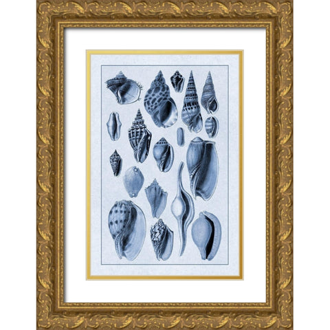 Shells: Trachelipoda #6 (Blue) Gold Ornate Wood Framed Art Print with Double Matting by Sowerby, G.B.