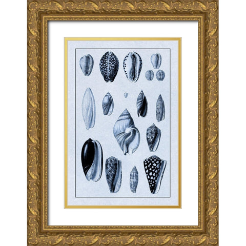Shells: Convoltae and Orthocerata (Blue) Gold Ornate Wood Framed Art Print with Double Matting by Sowerby, G.B.