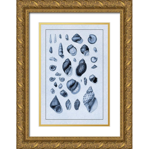 Shells: Sessile Cirripedes #2 (Blue) Gold Ornate Wood Framed Art Print with Double Matting by Sowerby, G.B.
