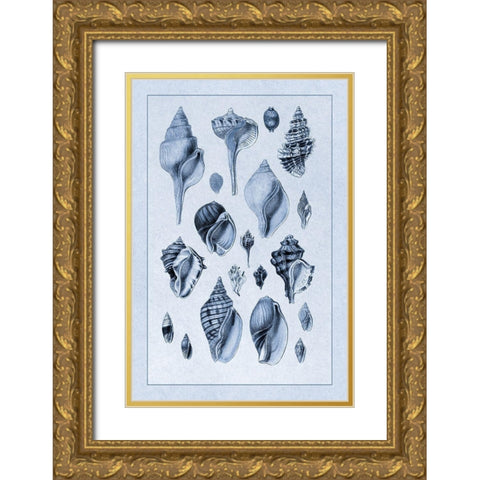 Shells: Sessile Cirripedes #3 (Blue) Gold Ornate Wood Framed Art Print with Double Matting by Sowerby, G.B.