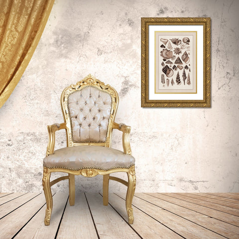 Shells: Trachelipoda #3 (Sepia) Gold Ornate Wood Framed Art Print with Double Matting by Sowerby, G.B.