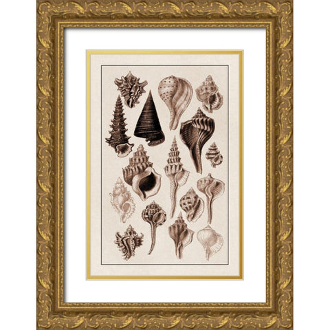 Shells: Trachelipoda #4 (Sepia) Gold Ornate Wood Framed Art Print with Double Matting by Sowerby, G.B.