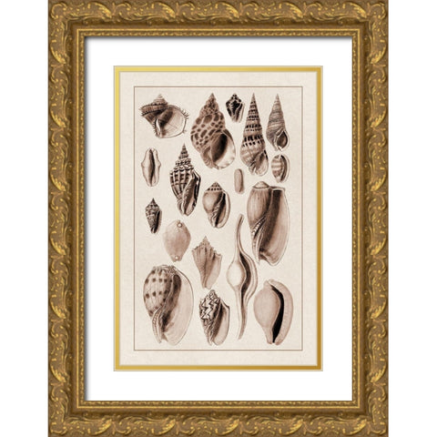 Shells: Trachelipoda #6 (Sepia) Gold Ornate Wood Framed Art Print with Double Matting by Sowerby, G.B.