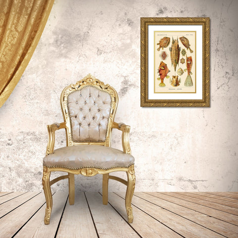 Haeckel Nature Illustrations: Boxfish Gold Ornate Wood Framed Art Print with Double Matting by Haeckel, Ernst
