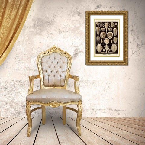 Haeckel Nature Illustrations: Athropods - Sepia Tint Gold Ornate Wood Framed Art Print with Double Matting by Haeckel, Ernst