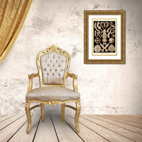 Haeckel Nature Illustrations: Flatworms - Sepia Tint Gold Ornate Wood Framed Art Print with Double Matting by Haeckel, Ernst