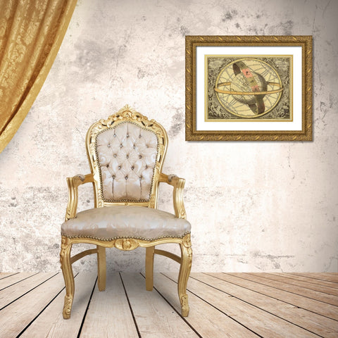 Maps of the Heavens: Circulis Coelestibus Gold Ornate Wood Framed Art Print with Double Matting by Cellarius, Andreas