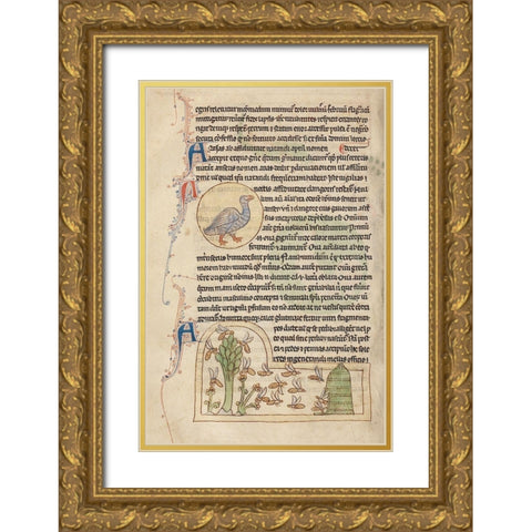 A Duck; Bees Gold Ornate Wood Framed Art Print with Double Matting by English 13th Century