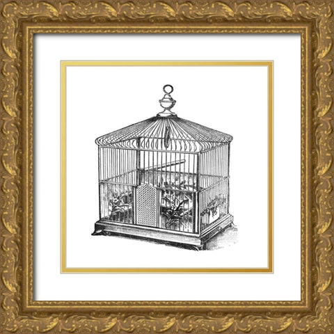 Etchings: Birdcage - Onion peak top, floral base. Gold Ornate Wood Framed Art Print with Double Matting by Catalog Illustration
