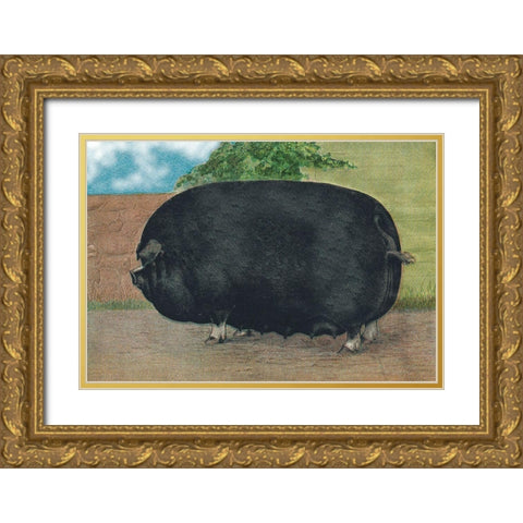 Pigs and Pork: Champion Sow Gold Ornate Wood Framed Art Print with Double Matting by Advertisement