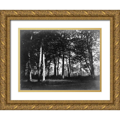 Fontainebleau, 1849 - Study of Trees and Pathways Gold Ornate Wood Framed Art Print with Double Matting by Le Gray, Gustave
