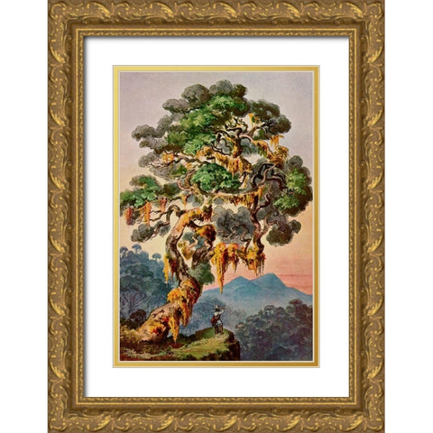 Der Vulkan Merapi auf Sumatra Hochland von Padang Gold Ornate Wood Framed Art Print with Double Matting by Haeckel, Ernst