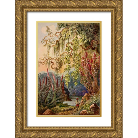 Nillu-Busche und Hangebambusen Hochland von Ceylon Gold Ornate Wood Framed Art Print with Double Matting by Haeckel, Ernst